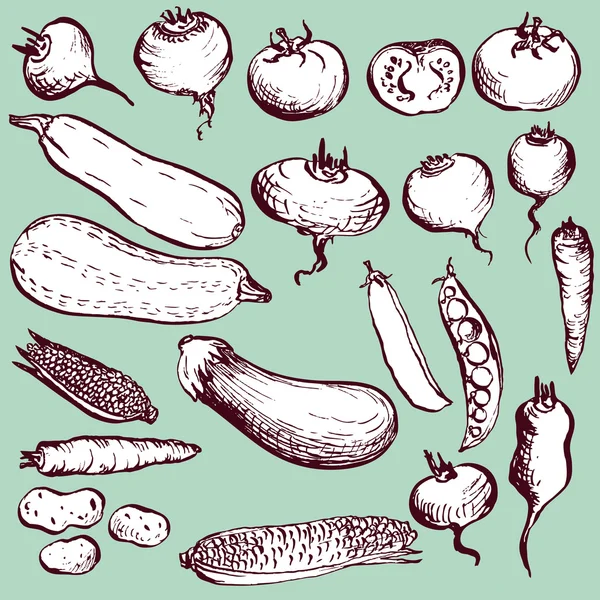 Набор старинных овощей — стоковый вектор