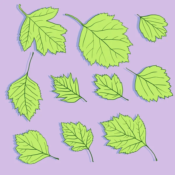 Ensemble de feuilles de dessin linéaire — Image vectorielle