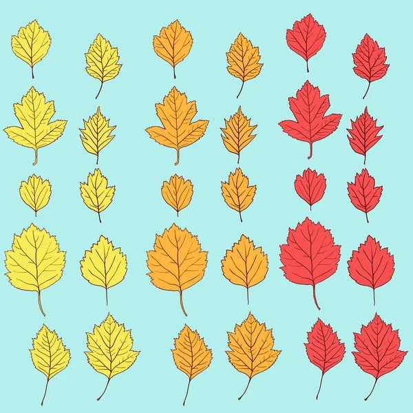 Ensemble de feuilles d'automne — Image vectorielle