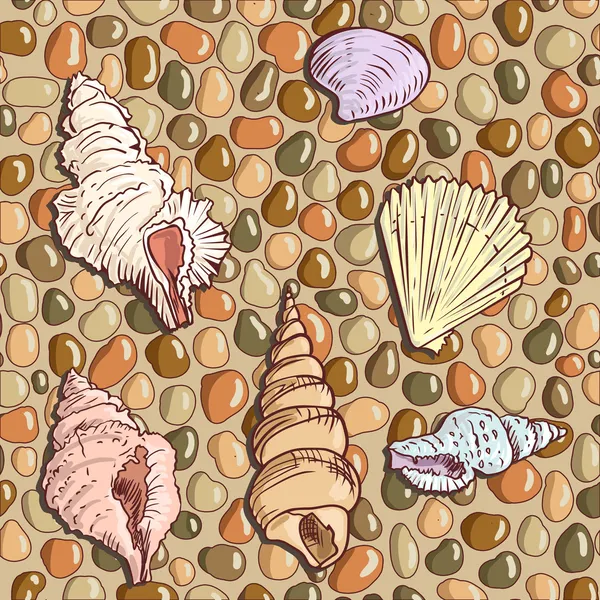 Seashells sulla riva del mare — Vettoriale Stock