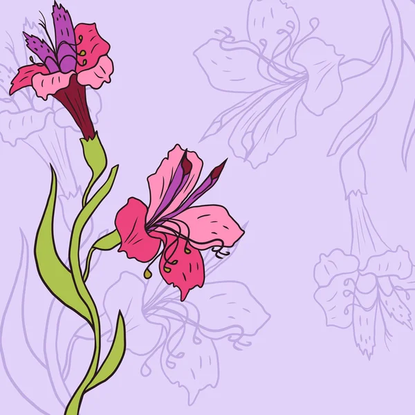 Tarjeta floral con Alstroemeria — Archivo Imágenes Vectoriales