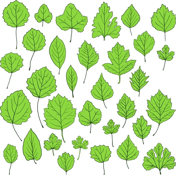 Ensemble de feuilles de dessin linéaire — Image vectorielle