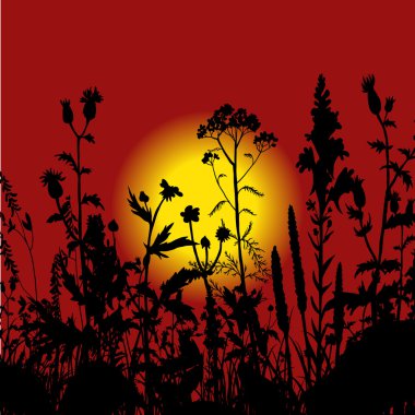çiçek ve çim Silhouettes