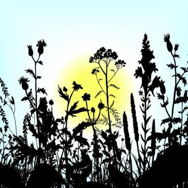çiçek ve çim Silhouettes