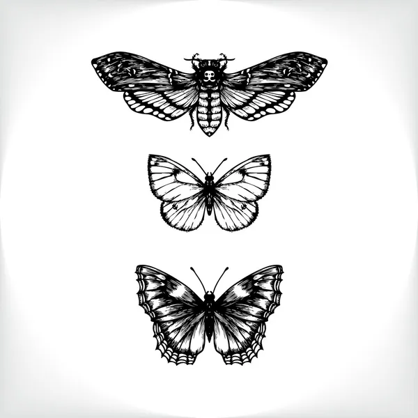 Tattoo Illustration Tattoo Moth Drawing