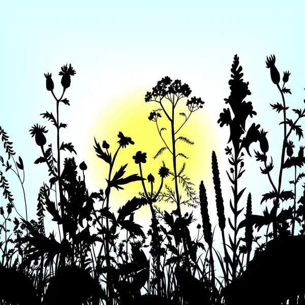 Silhouettes 的花和草 — 图库矢量图片