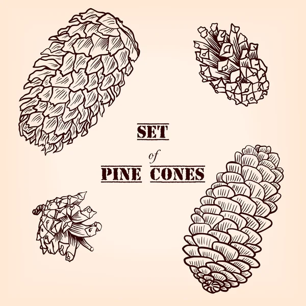 Conjunto de conos de pino — Archivo Imágenes Vectoriales