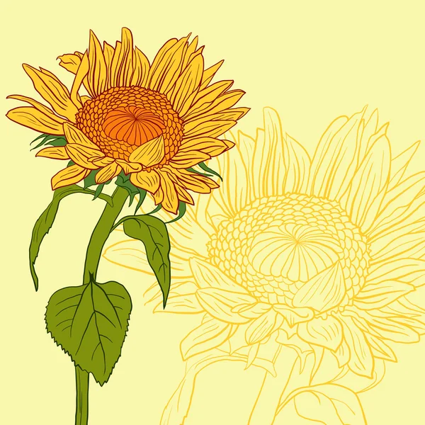 Kartu bunga dengan bunga matahari - Stok Vektor