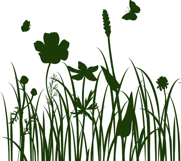 Siluety květin a trávy — Stockový vektor