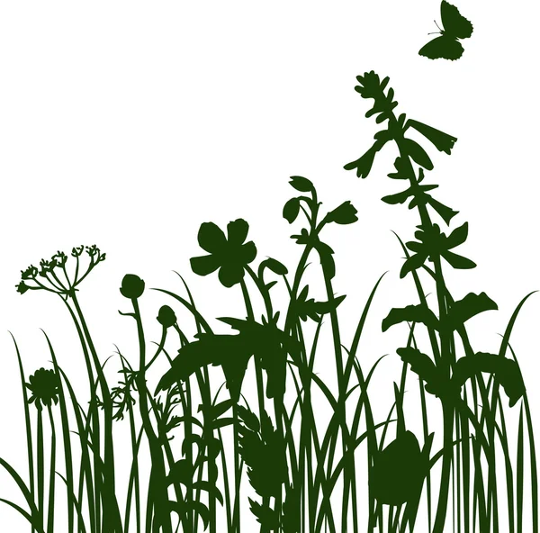 Silhouetten van bloemen en gras — Stockvector