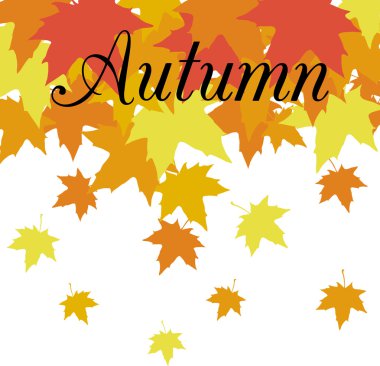 akçaağaç yaprakları ile arka plan