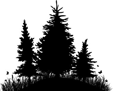 çim ve kelebekler bir tepede köknar ağaçlarının