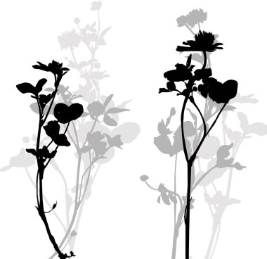 Silhouette bitkiler ve çiçekler