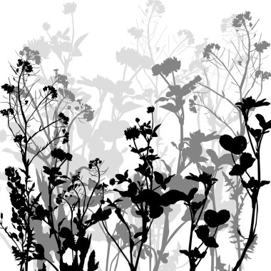 Free Free 251 Flower Drawing Svg SVG PNG EPS DXF File