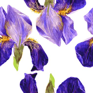 vektör süsen ile seamless modeli