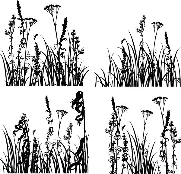 Four silhouettes  of flowers and grass