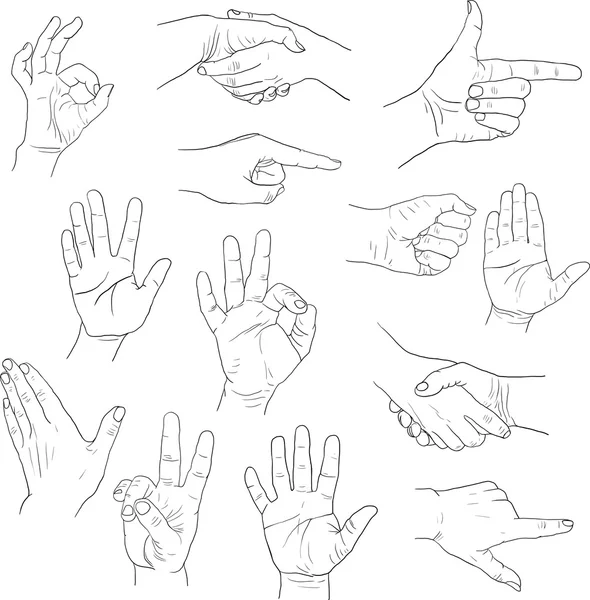 Esboço desenho mãos — Vetor de Stock