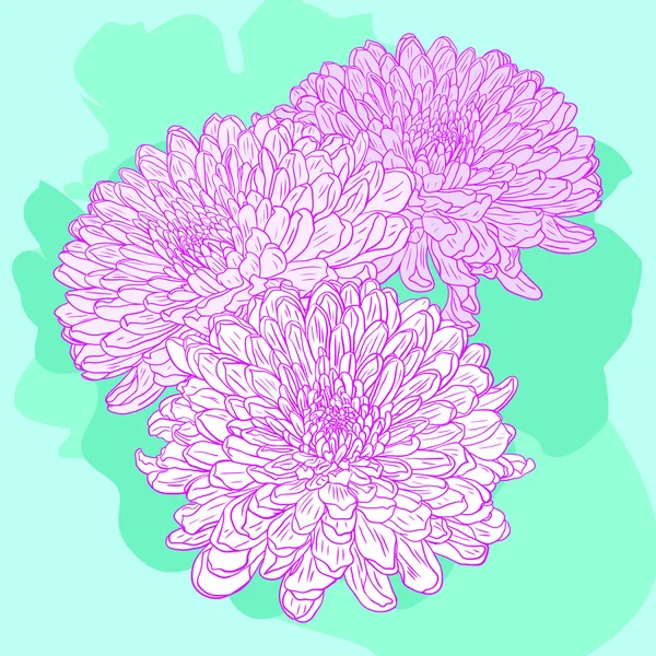 Carte florale avec chrysanthème — Image vectorielle