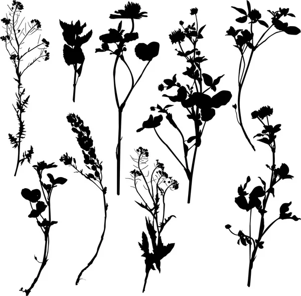 Bitkiler ve çiçekler siluet kümesi — Stok Vektör