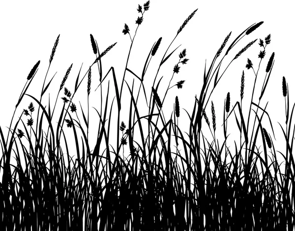 轮廓的草 — 图库矢量图片