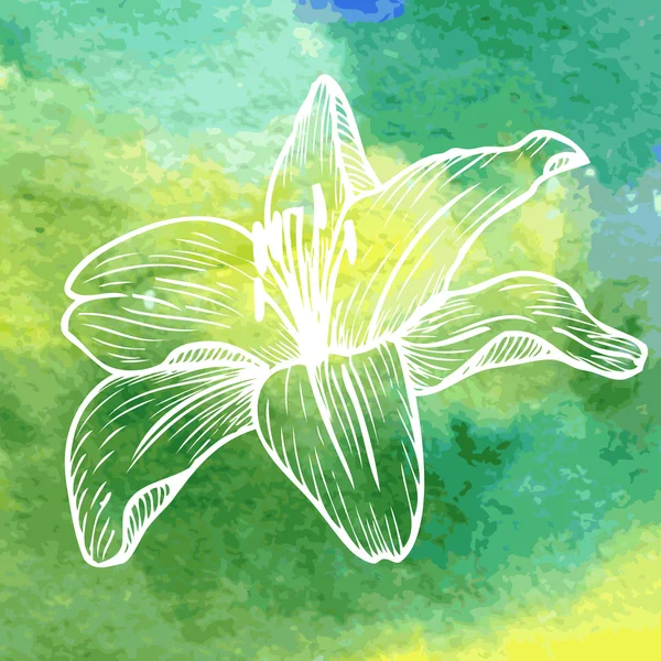 Aquarell Hintergrund mit linearer Zeichnung Blume — Stockvektor