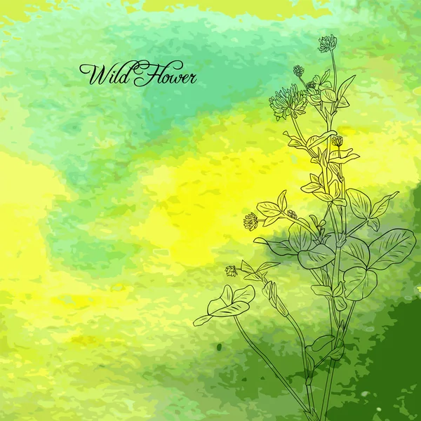 Blommig komposition med akvarell bakgrunden — Stock vektor