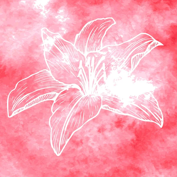 Aquarelle fond avec dessin linéaire fleur — Image vectorielle