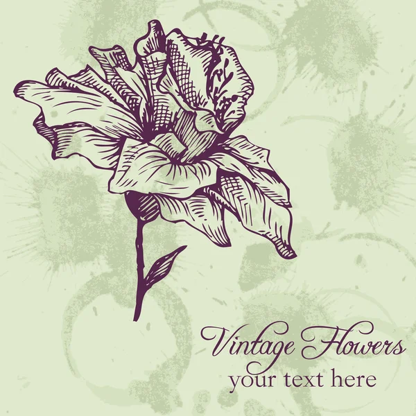 Tarjeta floral vintage — Archivo Imágenes Vectoriales