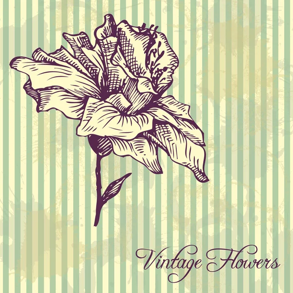 Vintage çiçek arka plan — Stok Vektör