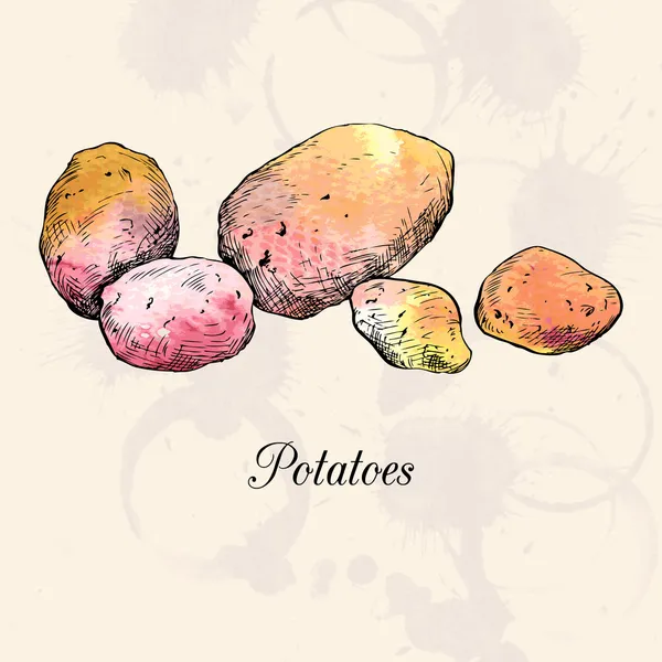Ręcznie rysowane ziemniaki — Wektor stockowy