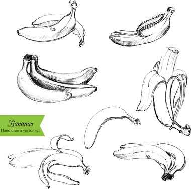 Kalem Çizim muz kümesi