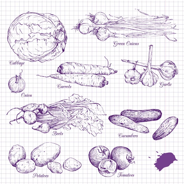 Conjunto de tiza dibujo verduras — Archivo Imágenes Vectoriales