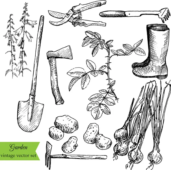 빈티지 가든 세트 — 스톡 벡터