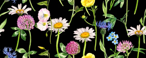 Patrón sin costuras con acuarela dibujo flores silvestres —  Fotos de Stock