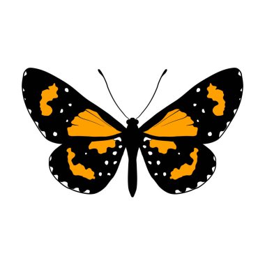 vektör çizim kelebek