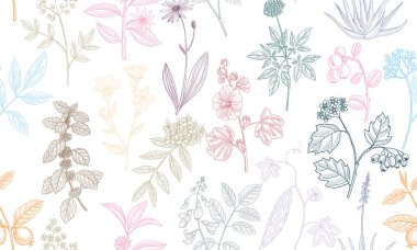 Çiçeksiz desen çizen vektör