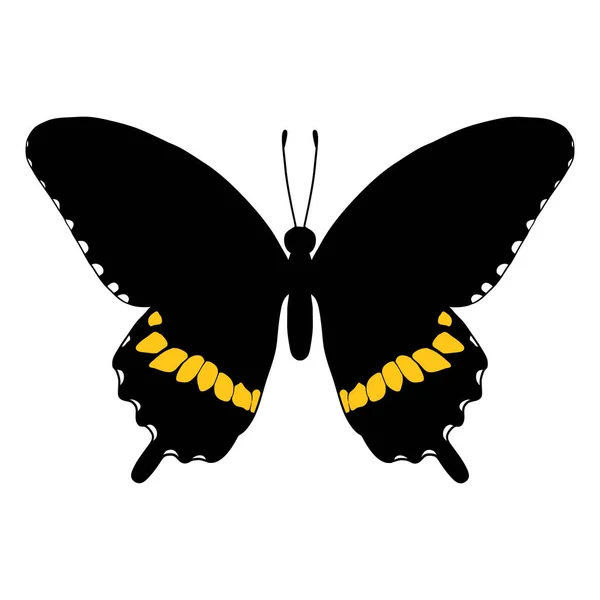 Vector drawing mormon butterfly — Vettoriale Stock