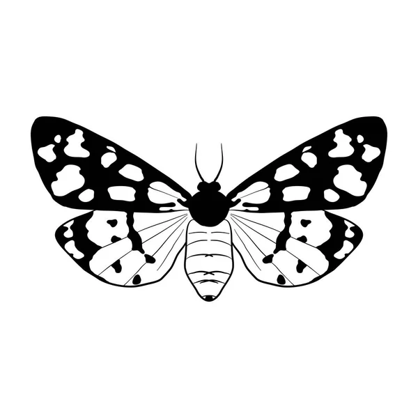 Vector drawing cream-spot tiger butterfly — Vettoriale Stock