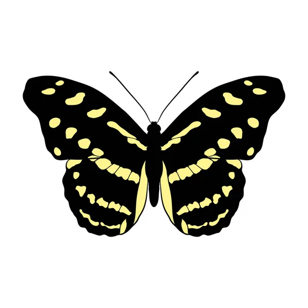 Vektorové kreslení motýl — Stockový vektor