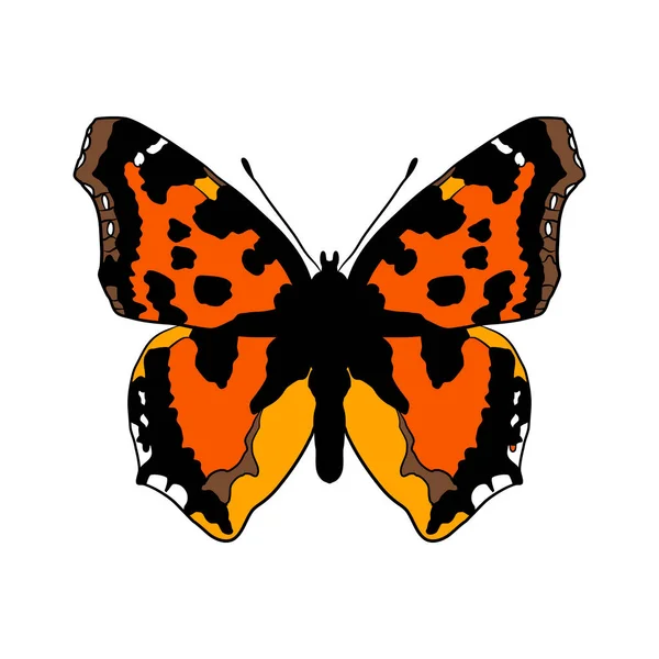 Vector drawing scarce tortoiseshell butterfly — Image vectorielle