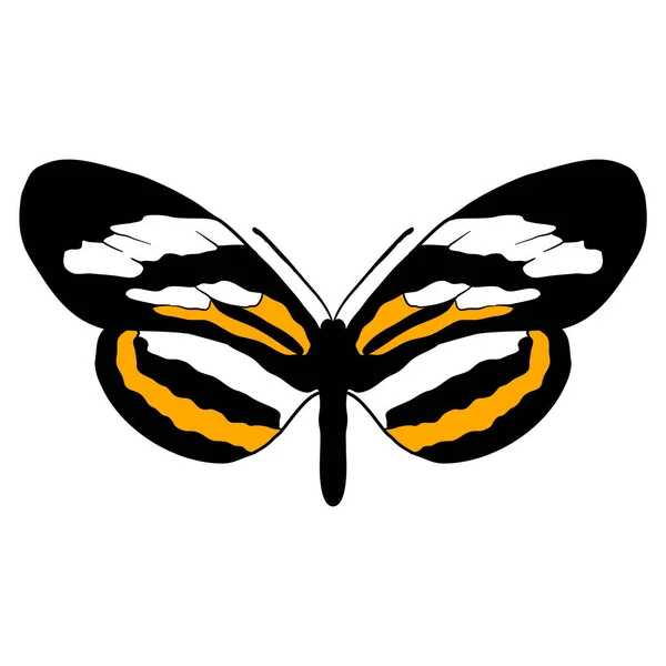 Vektoros rajz pillangó — Stock Vector