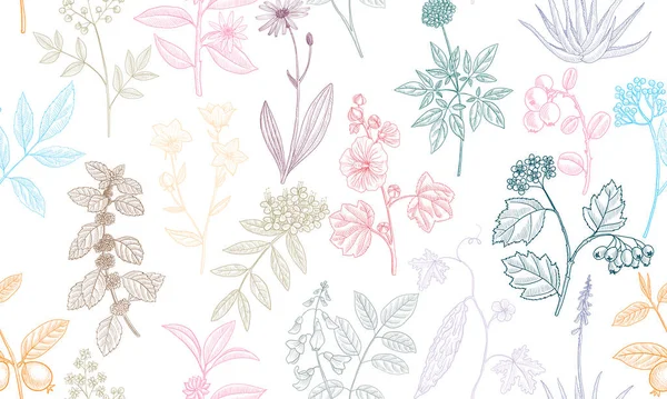 ベクタードローイング花のシームレスなパターン — ストックベクタ