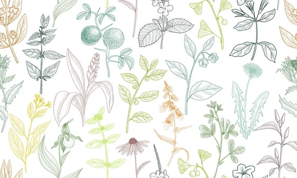 Vector drawing floral seamless pattern — ストックベクタ