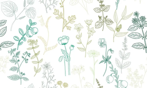 Vector drawing floral seamless pattern — Vetor de Stock