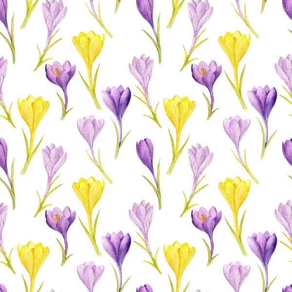 Watercolor drawing spring seamless pattern — Stock Photo, Image