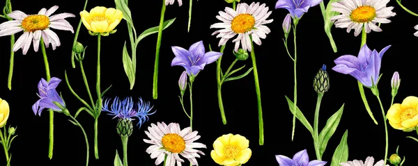 Bezszwowy wzór z akwarelą rysunek dzikie kwiaty — Zdjęcie stockowe