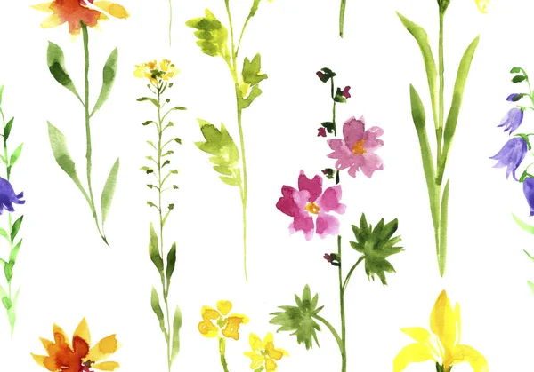 野生の花と水彩のシームレスなパターン — ストック写真