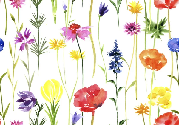 Watercolor seamless pattern with wild flowers — Stock Photo, Image