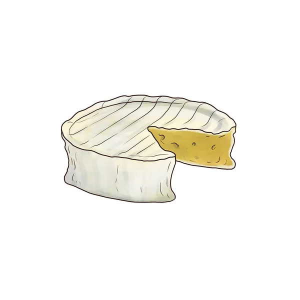 Drawing cheese brie isolated at white background — Stock fotografie