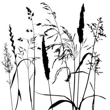 Yaprak ve bitki siluetleri ile şablonu